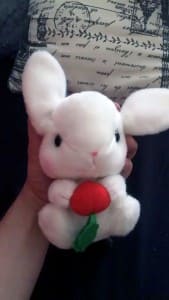 Isn’t that cute? This Bunny look sweet